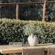 Choosing Types of Garden Furniture: A Buyer's Guide | The Ultimate Gardening Guide: Grow a Thriving Garden Year-Round