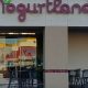 Your Yogurtland Garden Grove CA Fix: Flavors & Fun! | The Ultimate Gardening Guide: Grow a Thriving Garden Year-Round