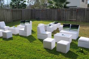 Garden Bliss: Rent Garden Furniture Deals Now! | The Ultimate Gardening Guide: Grow a Thriving Garden Year-Round