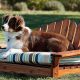Premium Dog Garden Furniture: Outdoor Comfort! | The Ultimate Gardening Guide: Grow a Thriving Garden Year-Round