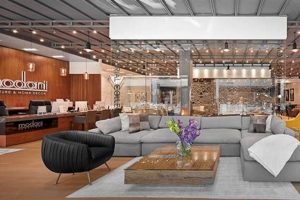 Shop Modani Furniture in Garden City: Modern Designs & More | The Ultimate Gardening Guide: Grow a Thriving Garden Year-Round