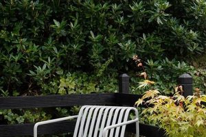 Enhance Your Space: Minimalist Garden Furniture Ideas | The Ultimate Gardening Guide: Grow a Thriving Garden Year-Round
