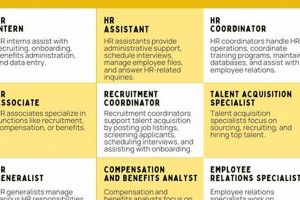 Find Entry Level Jobs in Garden Grove, CA: Your Start Now | The Ultimate Gardening Guide: Grow a Thriving Garden Year-Round