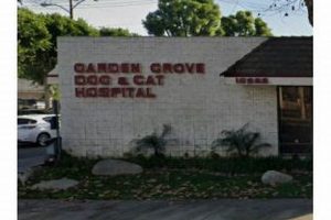 Top Rated Garden Grove Cat & Dog Hospital: [Services] | The Ultimate Gardening Guide: Grow a Thriving Garden Year-Round