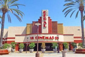 Your Grove Guide: Garden Grove Movie Theater Showtimes & More! The Ultimate Gardening Guide: Grow a Thriving Garden Year-Round Your Grove Guide: Garden Grove Movie Theater Showtimes & More! | The Ultimate Gardening Guide: Grow a Thriving Garden Year-Round