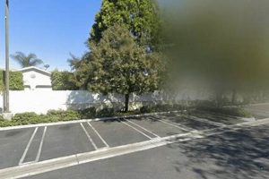 Living in Crescent Landing, Garden Grove: Real Estate Guide | The Ultimate Gardening Guide: Grow a Thriving Garden Year-Round