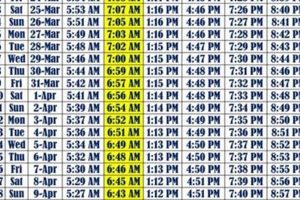 Accurate Garden Grove Prayer Times: Schedule & Alerts The Ultimate Gardening Guide: Grow a Thriving Garden Year-Round Accurate Garden Grove Prayer Times: Schedule & Alerts | The Ultimate Gardening Guide: Grow a Thriving Garden Year-Round