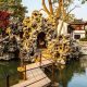 Explore Lion Grove Garden: A Suzhou Sanctuary | The Ultimate Gardening Guide: Grow a Thriving Garden Year-Round
