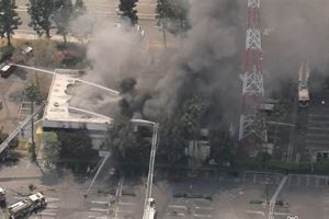 Garden Grove Fire Safety: Prevention & Response | The Ultimate Gardening Guide: Grow a Thriving Garden Year-Round