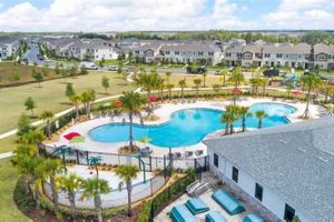 Create a Dreamy Story Grove Winter Garden [Guide] | The Ultimate Gardening Guide: Grow a Thriving Garden Year-Round