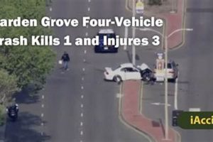 Garden Grove Car Accident Guide: What To Do After A Crash | The Ultimate Gardening Guide: Grow a Thriving Garden Year-Round