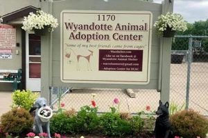 Your Guide: Garden Grove Animal Control Info + More | The Ultimate Gardening Guide: Grow a Thriving Garden Year-Round