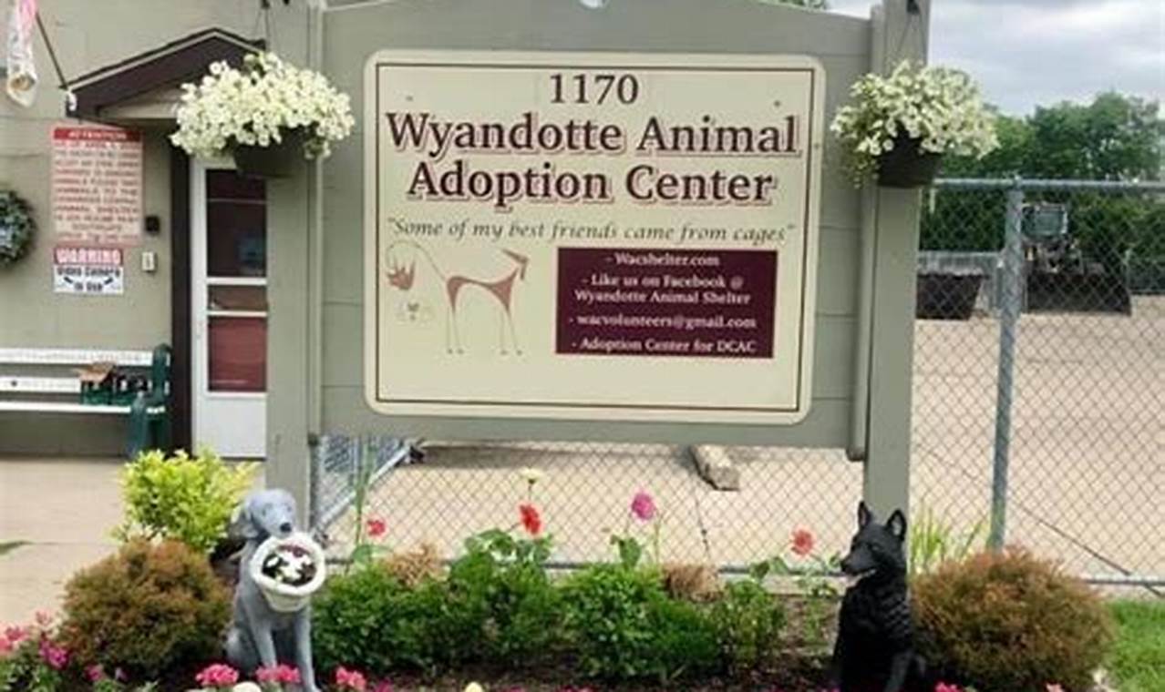 Your Guide: Garden Grove Animal Control Info + More | The Ultimate Gardening Guide: Grow a Thriving Garden Year-Round