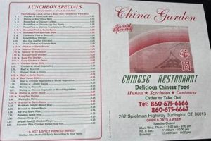 Discover China Garden Burlington: Authentic Flavors! | The Ultimate Gardening Guide: Grow a Thriving Garden Year-Round