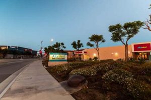 Find AltaMed Garden Grove Pharmacy: Your Grove Health Source | The Ultimate Gardening Guide: Grow a Thriving Garden Year-Round