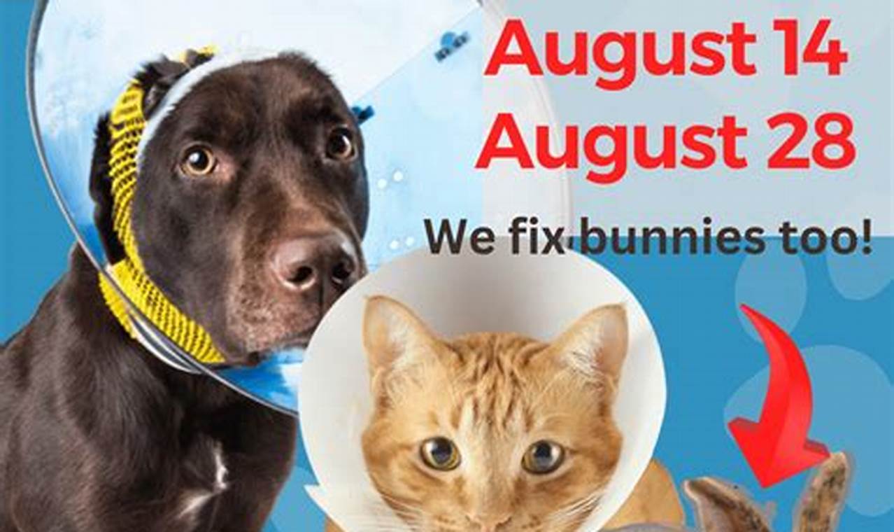 Garden Grove Spay & Neuter Clinic: Safe & Affordable Care | The Ultimate Gardening Guide: Grow a Thriving Garden Year-Round