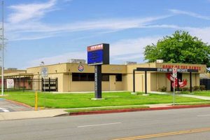 Guide: Garden Grove to Irvine - Your OC Commute Tips | The Ultimate Gardening Guide: Grow a Thriving Garden Year-Round