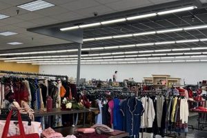 Shop & Donate: Goodwill Garden Grove Deals Near You! | The Ultimate Gardening Guide: Grow a Thriving Garden Year-Round