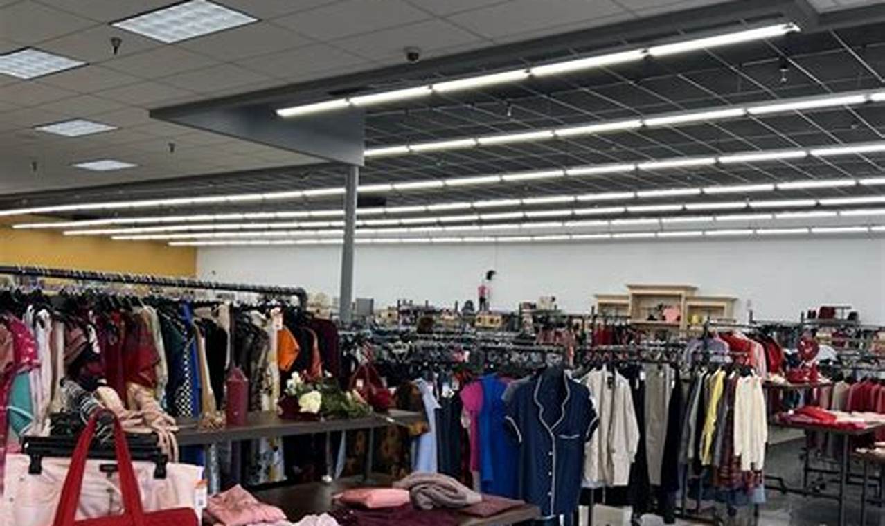 Shop & Donate: Goodwill Garden Grove Deals Near You! | The Ultimate Gardening Guide: Grow a Thriving Garden Year-Round