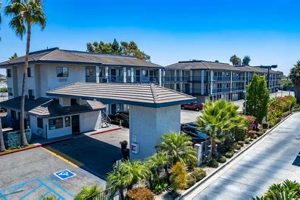 Garden Grove Getaway: Holiday Inn on the Blvd! The Ultimate Gardening Guide: Grow a Thriving Garden Year-Round Garden Grove Getaway: Holiday Inn on the Blvd! | The Ultimate Gardening Guide: Grow a Thriving Garden Year-Round