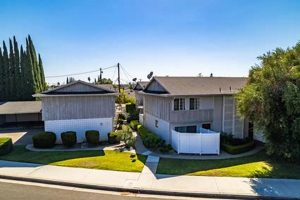 Your Guide to 11800 Magnolia Street, Garden Grove! | The Ultimate Gardening Guide: Grow a Thriving Garden Year-Round