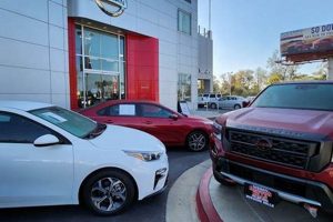 Your OC Nissan Garden Grove Guide: Deals & Service The Ultimate Gardening Guide: Grow a Thriving Garden Year-Round Your OC Nissan Garden Grove Guide: Deals & Service | The Ultimate Gardening Guide: Grow a Thriving Garden Year-Round