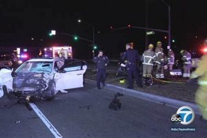 Garden Grove Accident: News, Prevention &amp; Safety | The Ultimate Gardening Guide: Grow a Thriving Garden Year-Round