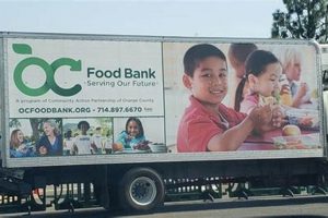 Your Local Garden Grove Food Bank: Services & Support | The Ultimate Gardening Guide: Grow a Thriving Garden Year-Round