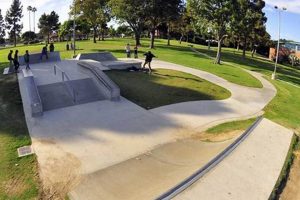 Explore the Garden Grove Skatepark: Fun for All! The Ultimate Gardening Guide: Grow a Thriving Garden Year-Round Explore the Garden Grove Skatepark: Fun for All! | The Ultimate Gardening Guide: Grow a Thriving Garden Year-Round