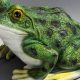 Garden Fun: Large Frog Statue for Garden Decor Ideas | The Ultimate Gardening Guide: Grow a Thriving Garden Year-Round