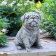Charming Pug Dog Garden Statue Decor For Your Yard! | The Ultimate Gardening Guide: Grow a Thriving Garden Year-Round