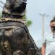 Shepherd Pride: German Shepherd Garden Statues Decor | The Ultimate Gardening Guide: Grow a Thriving Garden Year-Round