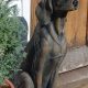 Find Dog Statues for Your Garden: Decor & More! | The Ultimate Gardening Guide: Grow a Thriving Garden Year-Round
