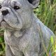 Charming French Bulldog Garden Statues: Decor & More! | The Ultimate Gardening Guide: Grow a Thriving Garden Year-Round