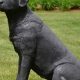 Guide: Black Lab Statue Garden Ideas & Decor Tips | The Ultimate Gardening Guide: Grow a Thriving Garden Year-Round