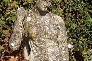 Buy Antique Vintage Garden Statues For Sale: Timeless Beauty The Ultimate Gardening Guide: Grow a Thriving Garden Year-Round Buy Antique Vintage Garden Statues For Sale: Timeless Beauty | The Ultimate Gardening Guide: Grow a Thriving Garden Year-Round