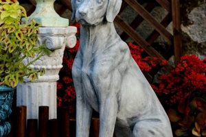 Find Your Perfect Garden Dog Statue Decor Today! | The Ultimate Gardening Guide: Grow a Thriving Garden Year-Round