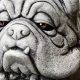 Enhance Your Garden: Bulldog Statue Charm | The Ultimate Gardening Guide: Grow a Thriving Garden Year-Round