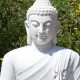 Zen Buddha Statue for Garden: Serenity Now! | The Ultimate Gardening Guide: Grow a Thriving Garden Year-Round