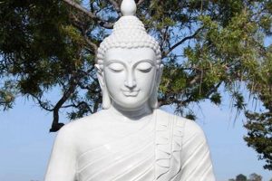 Elevate Your Garden with a Big Buddha Statue The Ultimate Gardening Guide: Grow a Thriving Garden Year-Round Elevate Your Garden with a Big Buddha Statue | The Ultimate Gardening Guide: Grow a Thriving Garden Year-Round