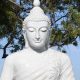 Elevate Your Garden with a Big Buddha Statue | The Ultimate Gardening Guide: Grow a Thriving Garden Year-Round