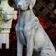 Adorable Garden Dog Statues: For Pet Lovers! | The Ultimate Gardening Guide: Grow a Thriving Garden Year-Round