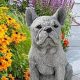 Charming Bulldog Garden Statue Decor & More! | The Ultimate Gardening Guide: Grow a Thriving Garden Year-Round