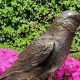 Elegant Bird Statues for Gardens: Avian Art Decor | The Ultimate Gardening Guide: Grow a Thriving Garden Year-Round