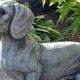 Charming Dachshund Garden Statue: Decor & More! | The Ultimate Gardening Guide: Grow a Thriving Garden Year-Round