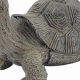 Charming Turtle Garden Statues: Decor & More! | The Ultimate Gardening Guide: Grow a Thriving Garden Year-Round
