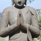 Serene Buddha Garden Statues: Find Your Peace & Decor | The Ultimate Gardening Guide: Grow a Thriving Garden Year-Round