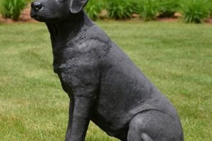 Buy Labrador Statue for Garden Decor: Enhance Your Space! | The Ultimate Gardening Guide: Grow a Thriving Garden Year-Round