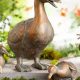 Enhance Your Garden: Charming Duck Statues Decor | The Ultimate Gardening Guide: Grow a Thriving Garden Year-Round