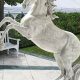 Enhance Your Garden: Horse Garden Statue Decor | The Ultimate Gardening Guide: Grow a Thriving Garden Year-Round